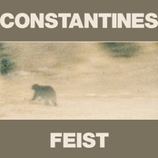 constantines + feist