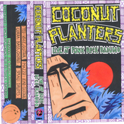 Live @ Punk Rock Raduno