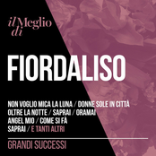 Il Meglio Di Fiordaliso: Grandi Successi