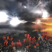 ネイティブロジック