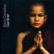Bach, J.S.: Cantatas, Vol. 24  - Bwv 12, 103, 108, 117, 146, 166
