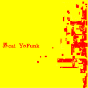 YのFunk