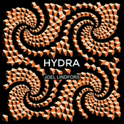 Hydra