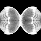 nothing stands still