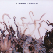 Stephin Merritt: Obscurities