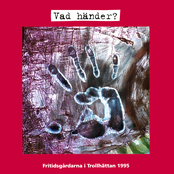Vad Händer? Fritidsgårdarna I Trollhättan 1995