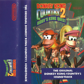 Donkey Kong Country 2: Diddy's Kong Quest