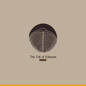 The Fall of Ediacara