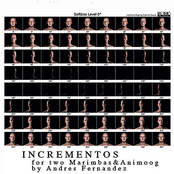 Andres Fernandez: Incrementos for Two Marimbas & Animoog: I.
