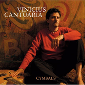 Vinicius Cantuaria: Cymbals