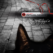 Eyes of the Dying Cat