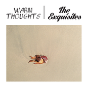 Split with Warm Thoughts & The Exquisites - EP