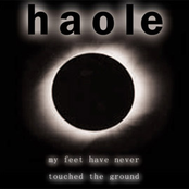 My Feet Have Never Touched The Ground