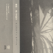 彼岸 / 悲しき配分