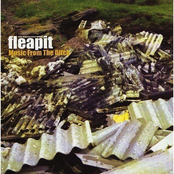 fleapit