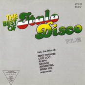 The Best Of Italo Disco Vol. 12