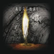 Con The Verses by Adrenal