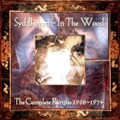 In the Wood: The Complete Rarities 1968-1974