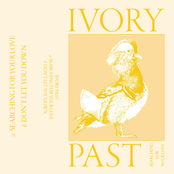 Searching For Your Love