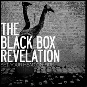 We Never Wondered Why by The Black Box Revelation