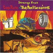 Too Pure - The Peel Sessions