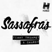 timmy trumpet & chardy