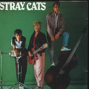 Blue Suede Shoes by Stray Cats