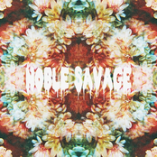 Noble Savage