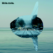 Fate of a Mola mola