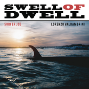 Surfer Joe: Swell of Dwell