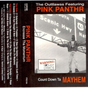 pink panthr