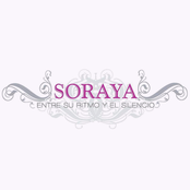 Entre Su Ritmo Y El Silencio