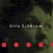 Säg Vad Ni Vill by Ulla Sjöblom