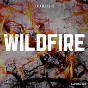 Wildfire - Single