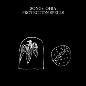 Fire On The Shore by Songs: Ohia