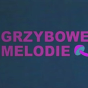 Ballada w Rytmie Dżins