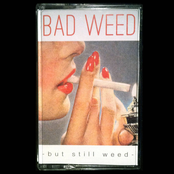 Bad Weed/But Still Weed