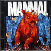 Groove Junkie by Mammal