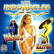 Los Indomables: Banda 20 Exitos