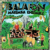 Mashamba Nzou by Balafon Marimba Ensemble