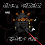 Almighty Gnar - Single