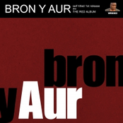 Bron y Aur