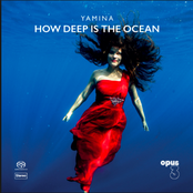 How Deep is the Ocean