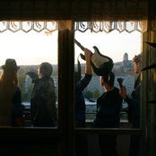 Flügel der Morgenröte