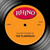 Nobody Loves Me Like You by The Flamingos