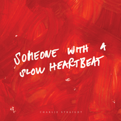 Someone With A Slow Heartbeat by Charlie Straight