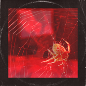 Lipstick Massacre - Single