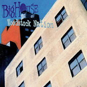Buck These Haggard Blues by Big House