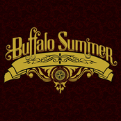 Buffalo Summer