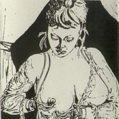 Perfected Perversions